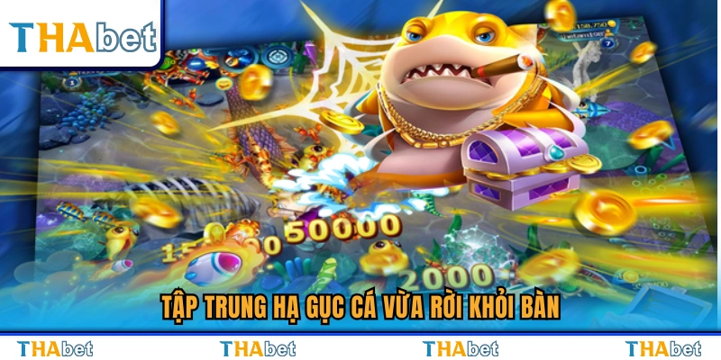 Ưu tiên tiêu diệt cá mới xuất hiện để dễ ăn điểm 