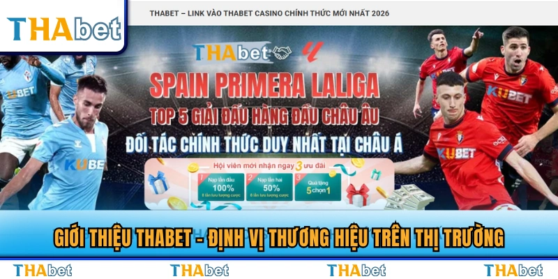 Giới thiệu Thabet và vị thế trên thị trường 