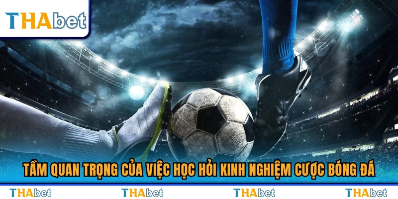 Kinh Nghiệm Cược Bóng Đá Tăng Tỷ Lệ Thắng Mỗi Trận 2 Lợi ích khi học hỏi kinh nghiệm cược bóng đá