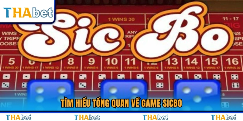 Khám phá toàn cảnh trò chơi Sicbo 