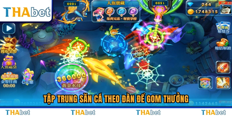 Ưu tiên bắn cá theo đàn để tối đa hóa phần thưởng 